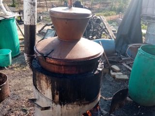 ZEMLJIŠTE Petrijevci, Kovačev gaj, Suševine