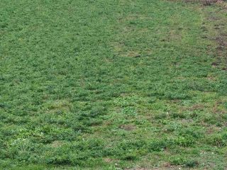 ZEMLJIŠTE UZ CESTU, 12m fronta, Tvrđavica