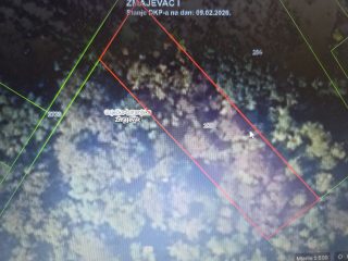 ZEMLJIŠTE- ŠUMA, Zmajevac Papser